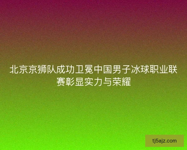 北京京狮队成功卫冕中国男子冰球职业联赛彰显实力与荣耀