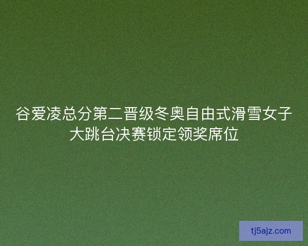 谷爱凌总分第二晋级冬奥自由式滑雪女子大跳台决赛锁定领奖席位